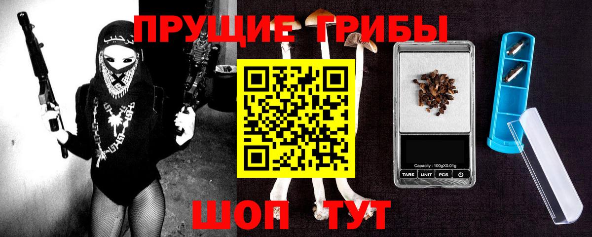 Галлюциногенные грибы Psilocybine cubensis  Вход с VPN  Галлюциногенные грибы мухоморы  Камышлов 